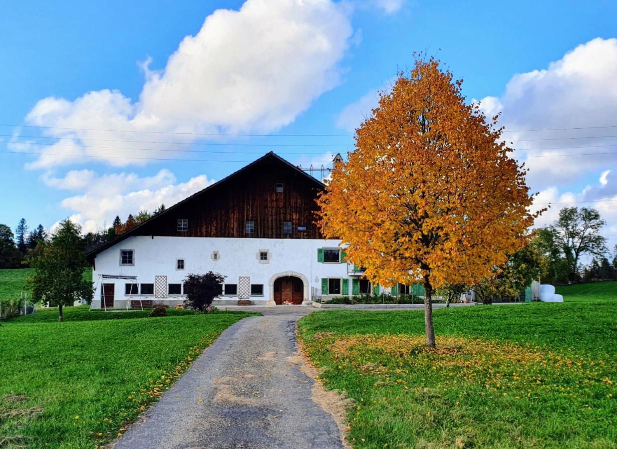 O Valanvron - Appartement Dans Une Ancienne Ferme Neuchateloise La Chaux De Fonds Luaran gambar